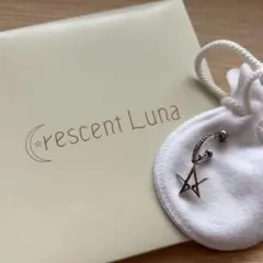 2025年最新】佐藤新 ピアスの人気アイテム - メルカリ