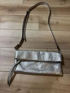 GIANNI CHIARINI ジャンニキャリーニ　バッグ　シルバー