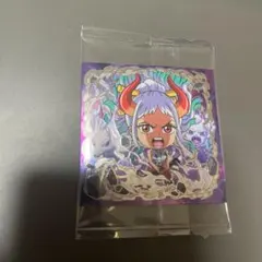 コーギー様 リクエスト 2点 まとめ商品