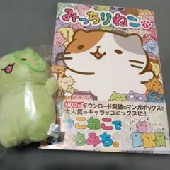 Item thumbnail for item 02af34ed-685e-48fc-ac84-f36fc0c28cf9