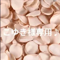 サテン＆オーガンジーフラワーシャワー๑ゴールド・カーネーション各100枚