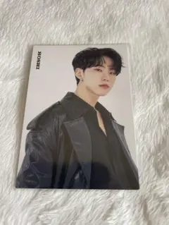 SEVENTEENセブチ ファンミ HAREトレカ ホシ