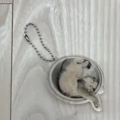 川上桃子　琥珀　コハク　猫　アクリルキーホルダー