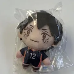 ハイキュー　セガラッキーくじ　B賞　山口