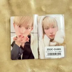 &team トレカ HARUA 雪明かり ラキドロ アニマル