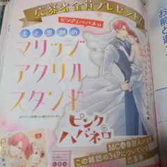 ピンクとハバネロ 麦と黒瀬のマリッジアクリルスタンド 応募券