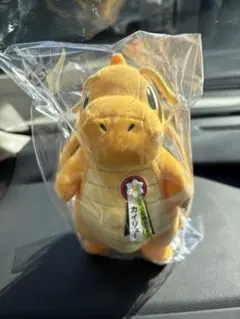 【限定】カイリュー