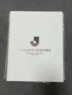 入手不可能！1993Jリーグ開幕サントリーシリーズ・オフィシャルガイド