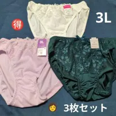 大きめサイズ　おまとめ対応可 ハイグレードショーツ　3L　 各種　3枚セット