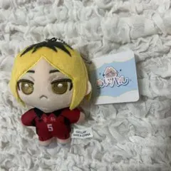 ハイキュー!! ぬいパル 孤爪研磨