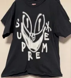 グラフィックtシャツ Tシャツ