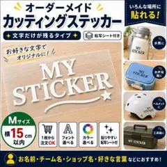 名前ステッカー Mサイズ オーダー カッティングステッカー お名前シール ラベル