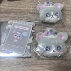 JOCHUM ジェオチャム　シークレットブローチ　　硬質ケース チュララ
