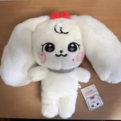 2026年最新】iVe minive ウォニョンの人気アイテム - メルカリ