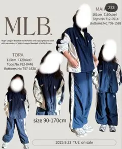 AMBERROAR　MLB セットアップ