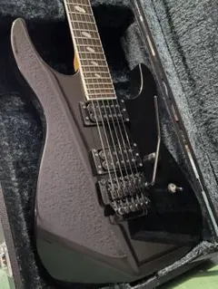 Caparison TAT FX 美品 BW搭載 純正ケース付 Caparison TAT FX 美品 BW搭載 純正ケース付 Caparison TAT FX