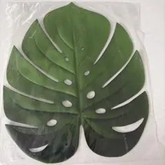 Item thumbnail for item 66962508-0c2b-447e-8607-dded574fd3c8