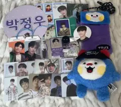 TREASURE ジョンウ トレカ グッズ まとめ売り TRUZ WOOPY