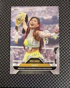 Item thumbnail for item 673251a7-f5b8-42bc-b7e5-57bc777c0155