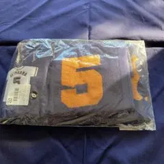 Item thumbnail for item d91daae0-7a67-4ae1-b628-839ecef4b61c