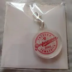 Item thumbnail for item 47db9054-9e98-4082-bd97-6bfd3252cf46