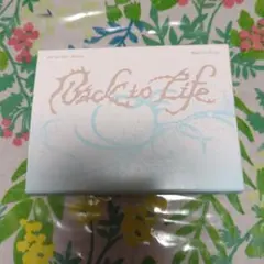 &TEAM Back to Life MINI CD-R 盤