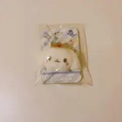 JOCHUM RURU ヘアゴム 白岩瑠姫のサムネイル