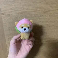 のらねこ様 リクエスト 2点 まとめ商品