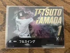 ドリームオーダー　日本選手権プロモ　ヤクルト　山田哲人　フルスイングSP ドリームオーダー 日本選手権プロモ ヤクルト 山田哲人 フル