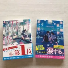 海に願いを風に祈りをそして君に誓いを、記憶喪失の君と、君だけを忘れてしまった僕