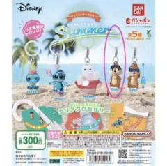 めじるしアクセサリー　チップ