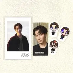SnowManアルバム 『RAYS』購入特典 チェキ＋ステッカー 渡辺翔太