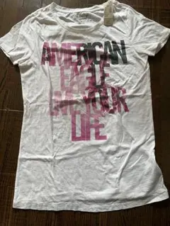 半袖Tシャツ◎アメリカンイーグル◎新品 ◎Lサイズ 夏休み 小学のサムネイル