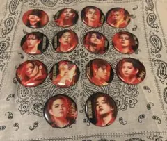 BOT 缶バッチ RAMPAGEセット【バラ売り可】