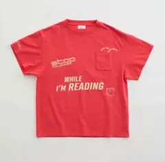 【THE SHINZONE】ザシンゾーン RUGGER BORDER TEE THE SHINZONE RUGGER BORDER TEE - メルカリ