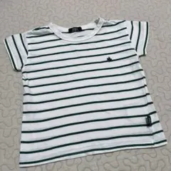 POLO ストライプ Tシャツ ホワイト/グリーン