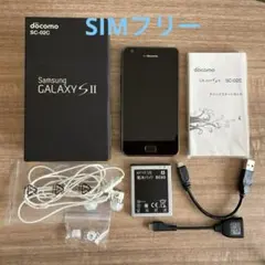 Item thumbnail for item c436dbee-86e8-442e-a64c-7c33f4a5ead9