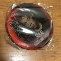 世界 チェンジング缶バッチ