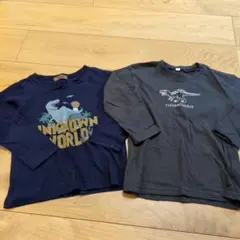 恐竜 長袖ロングＴシャツ 110センチ