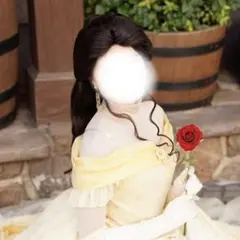 かねまるさま専用】fairytale wigs シンデレラ Dハロ セット済み