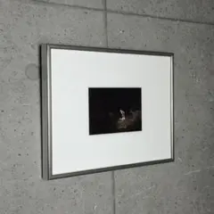 Item thumbnail for item 2fb8c2fd-1250-4f33-ab37-5e4495c05cff