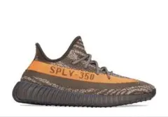 adidas Yeezy boost 350 V2 Carbon Beluga