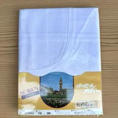 こたつ用