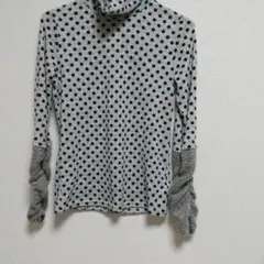 Item thumbnail for item 6e6e6937-eb9d-40d4-9c3c-ac6be2275a9b