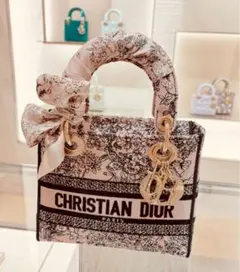 CHRISTIAN DIOR ディオール　バック　Dior レディディオール