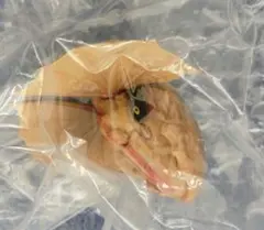 モンスターハンター一番くじ C賞ヘッドマグネット イャンクック