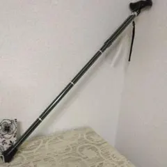 Item thumbnail for item c6455408-18d1-441b-a7f2-e0745a1883d1