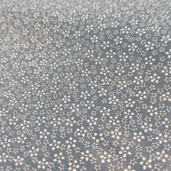 Item thumbnail for item 83824ce7-cee7-4c77-8b81-db6748ca6f94