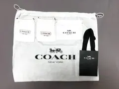 Item thumbnail for item e57cb7ac-1ac8-4ba2-a76a-5f63a7330d04