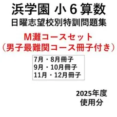 (浜旧算平常テキスト)浜小6算数FinalTechnic第1分冊(※研究者向け) 浜旧算平常テキスト)浜小6算数FinalTechnic第1分冊(※研究者向け